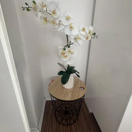 別荘 Orchideenweg 2a, 24558 , 200 Quadratmeter Haus Mit Garten Und Garage *